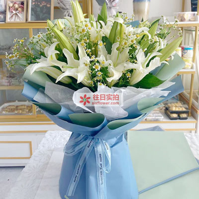 沈阳8支白色多头百合洋甘菊,互倾的思念