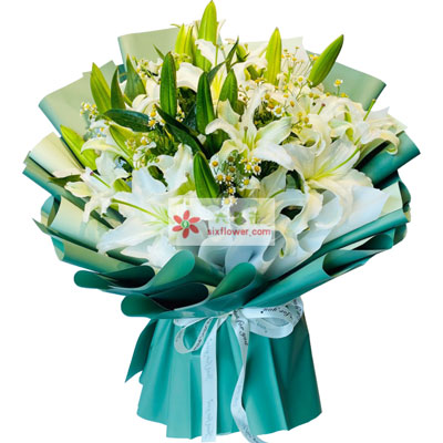 沈阳8支白色多头百合洋甘菊，如潮的思念